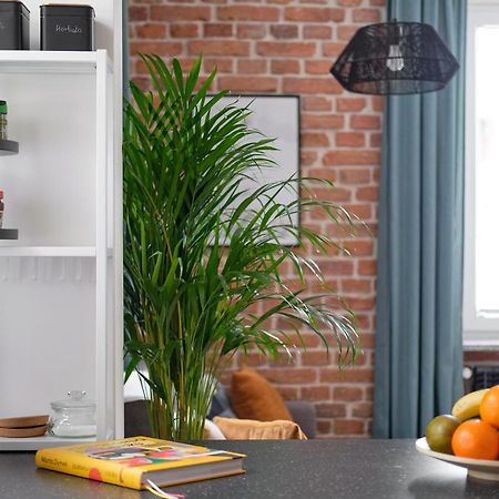 Mikroklimatyczny Apartament Dla 4 Osob - Blisko Szlakow, W Centrum Szklarska Poreba Bagian luar foto